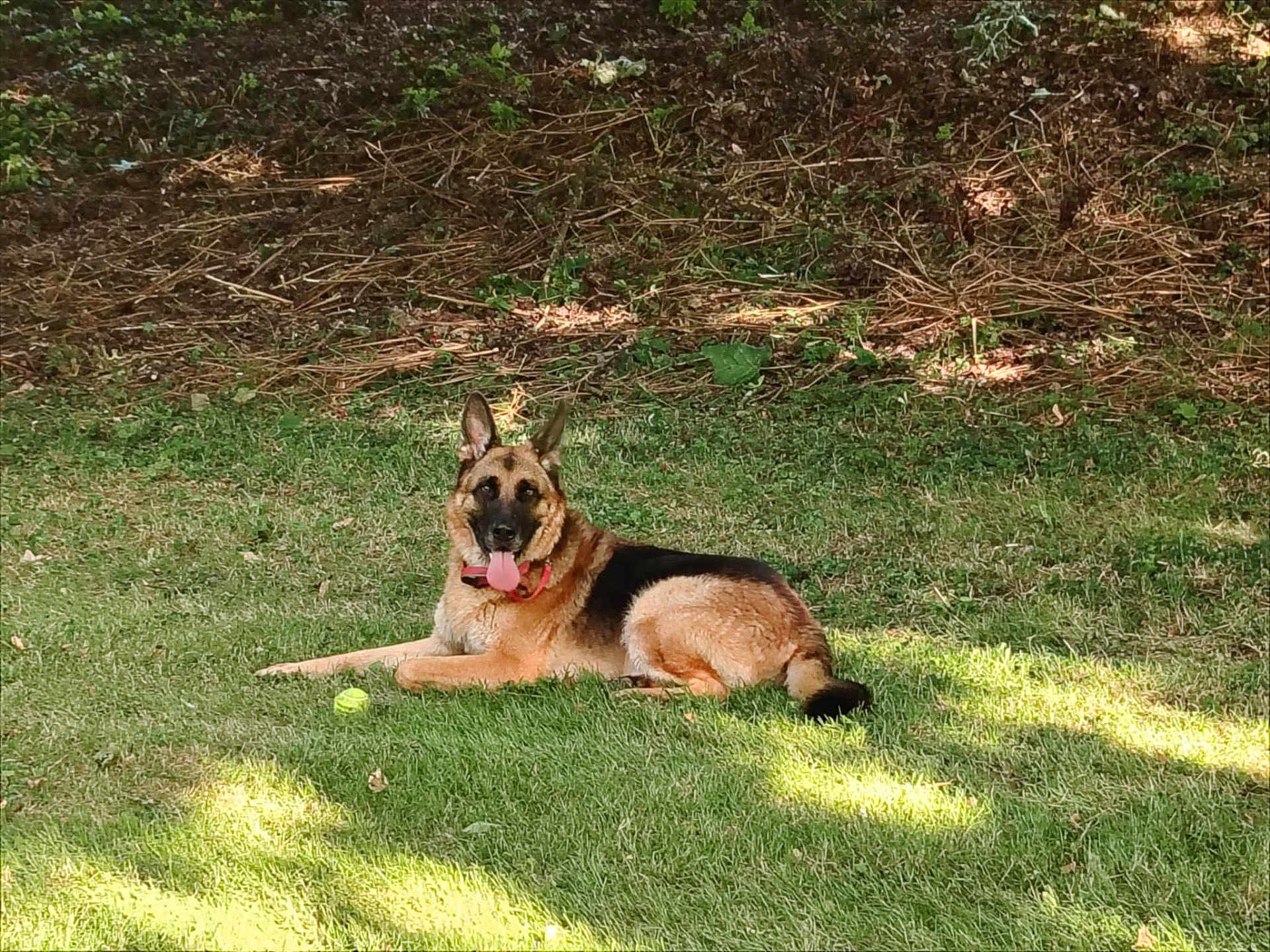 Jet