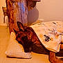 dog, german_shepherd, lying_down, pillow, blanket, indoor, floor, wood, rustic, cozy, resting, animal, pet, cute, comfort, home, furniture, relaxing, warm_lighting, sleepy