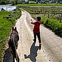 child, dog, leash, path, grass, vineyard, village, sky, clouds, sunlight, shadow, walking, cap, red_shirt, outdoor, nature, rural, fence, field, summer