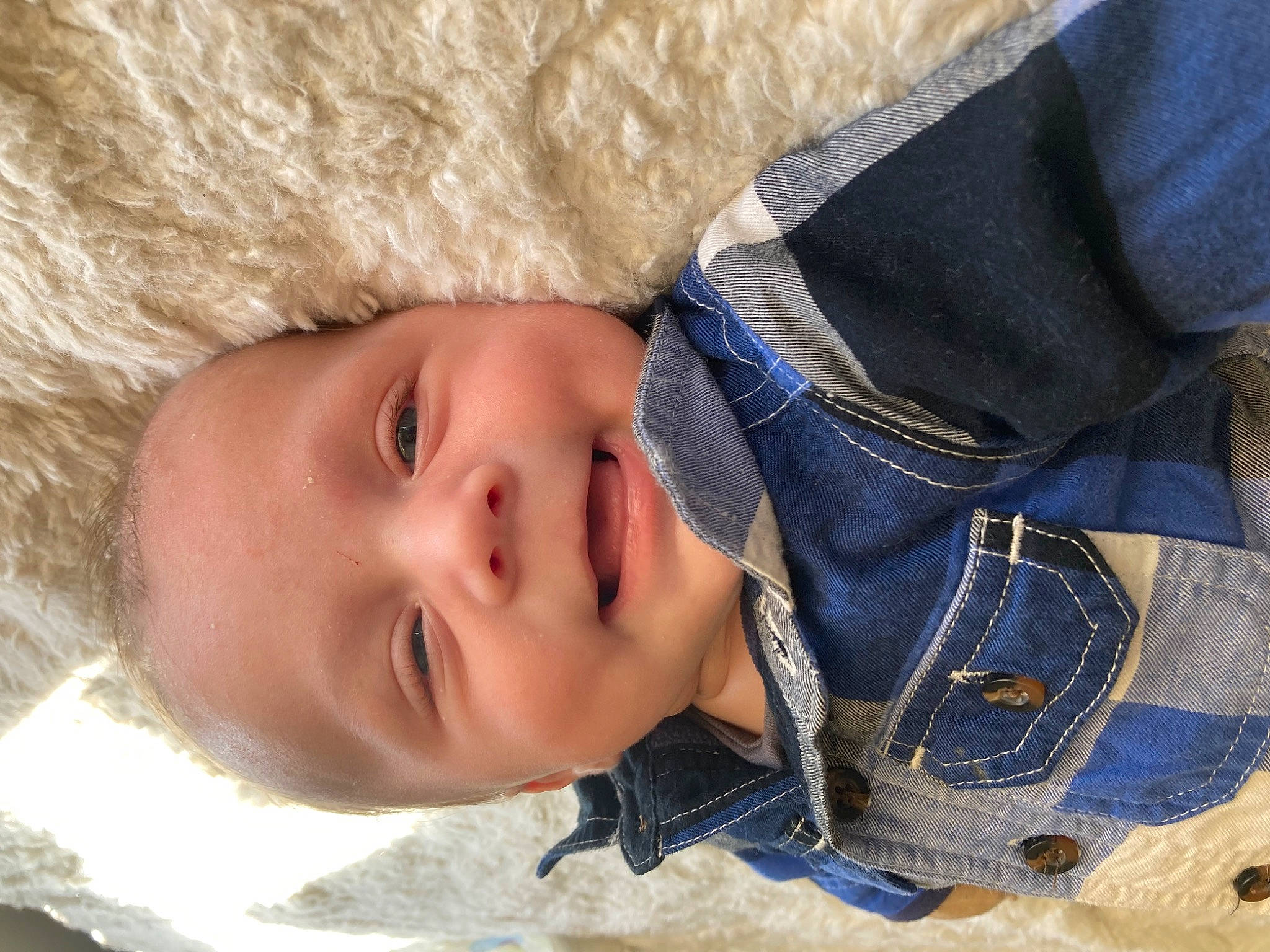 Dawson joined the competition — help win amazing prizes! cheek, child, comfort, denim, electric_blue, eyelash, freezing, fur, happy, linens, nose, pattern, person, portrait_photography, skin, smile, toddler, tree, winter, wood