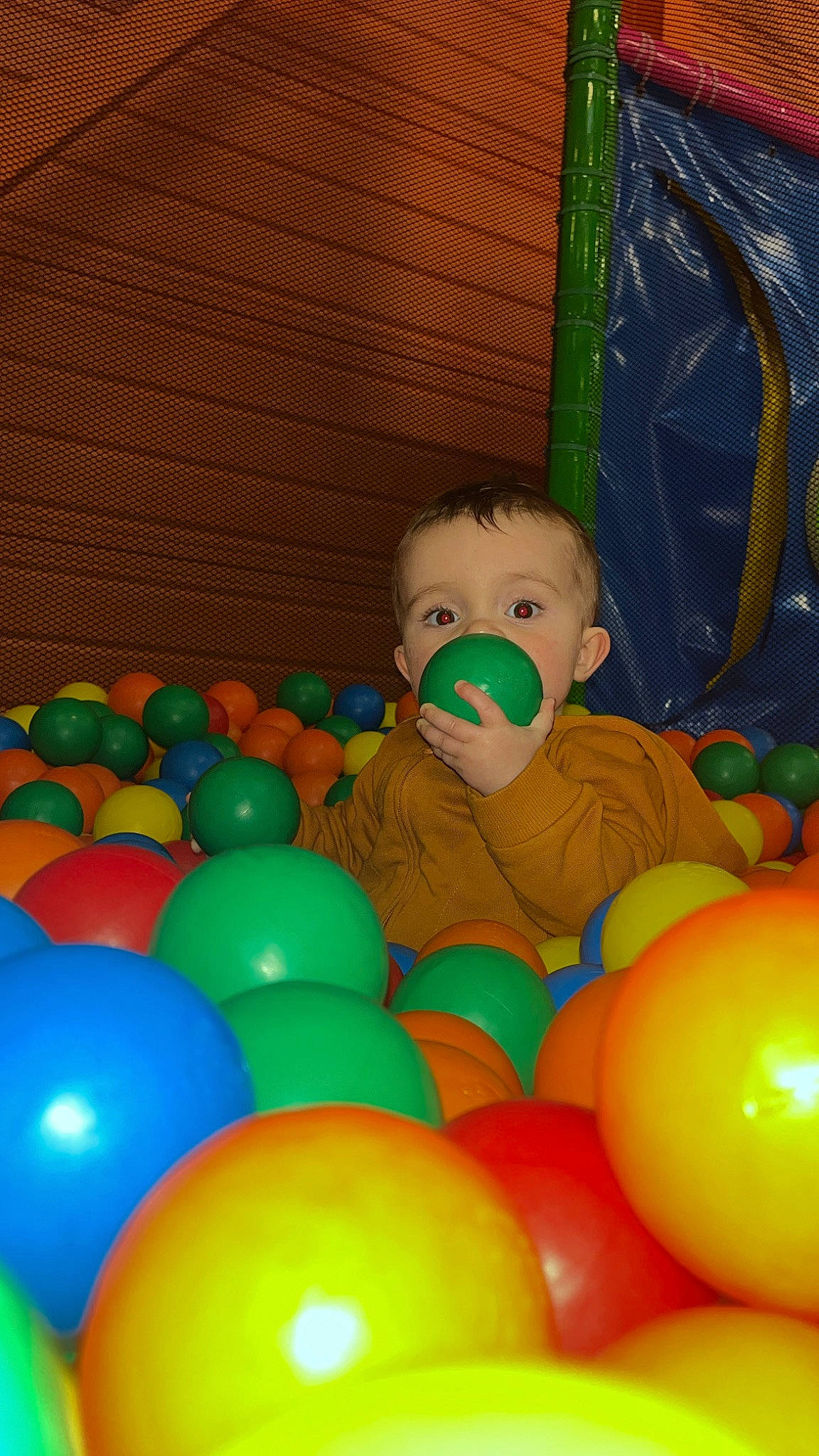 éden participe au concours pour gagner de l'argent avec cette photo : baby, baby_products, baby_toys, ball, ball_pit, child, event, fun, leisure, party_supply, person, play, room, sphere, toddler, toy
