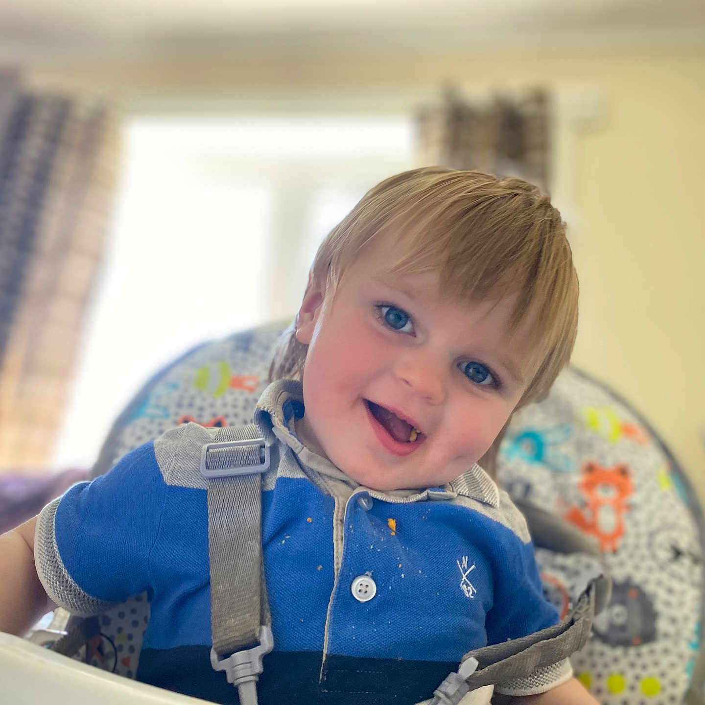 Luca joined the competition — help win amazing prizes! background, blue_shirt, child, clothing, cute, face, feeding, hair, happy, high_chair, indoor, messy, person, playful, seat, seatbelt, smiling, toddler, window, young