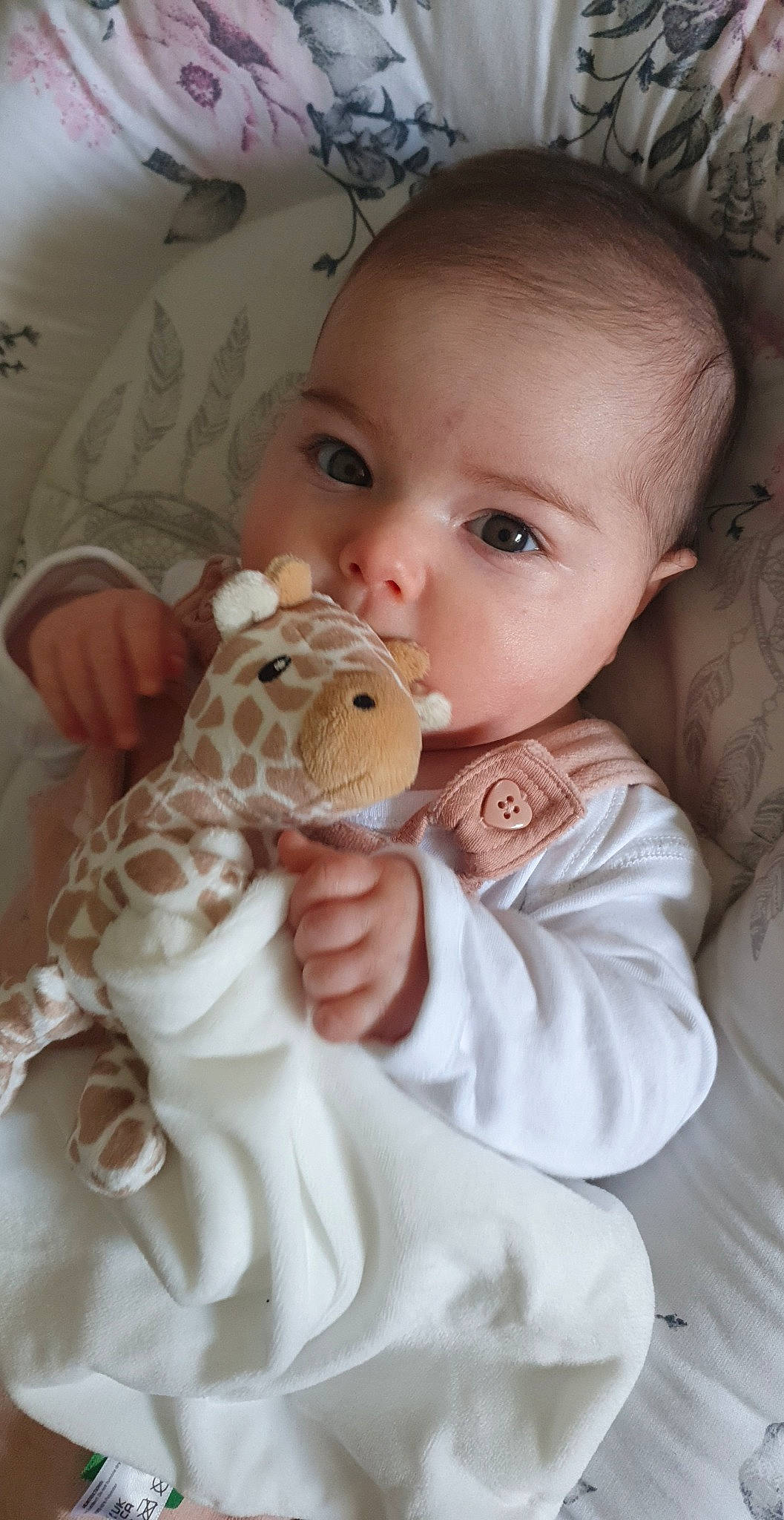 Alicia is registered to the contest to win money with this photo: baby, baby_toddler_clothing, cheek, comfort, doll, ear, eye, fawn, finger, gesture, hand, happy, head, iris, mouth, nose, person, skin, toddler, toy