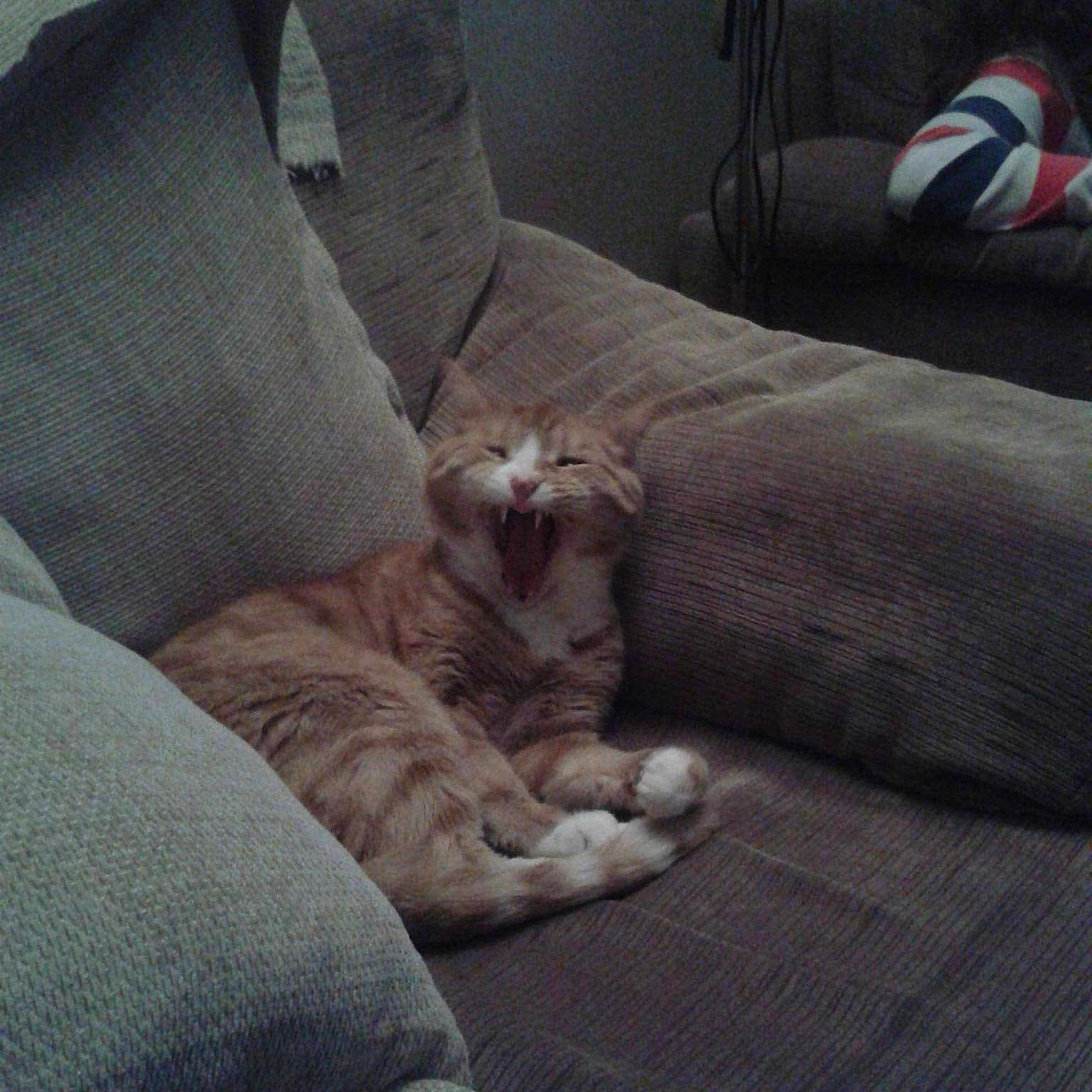 Mickey is registered to the contest to win money with this photo: