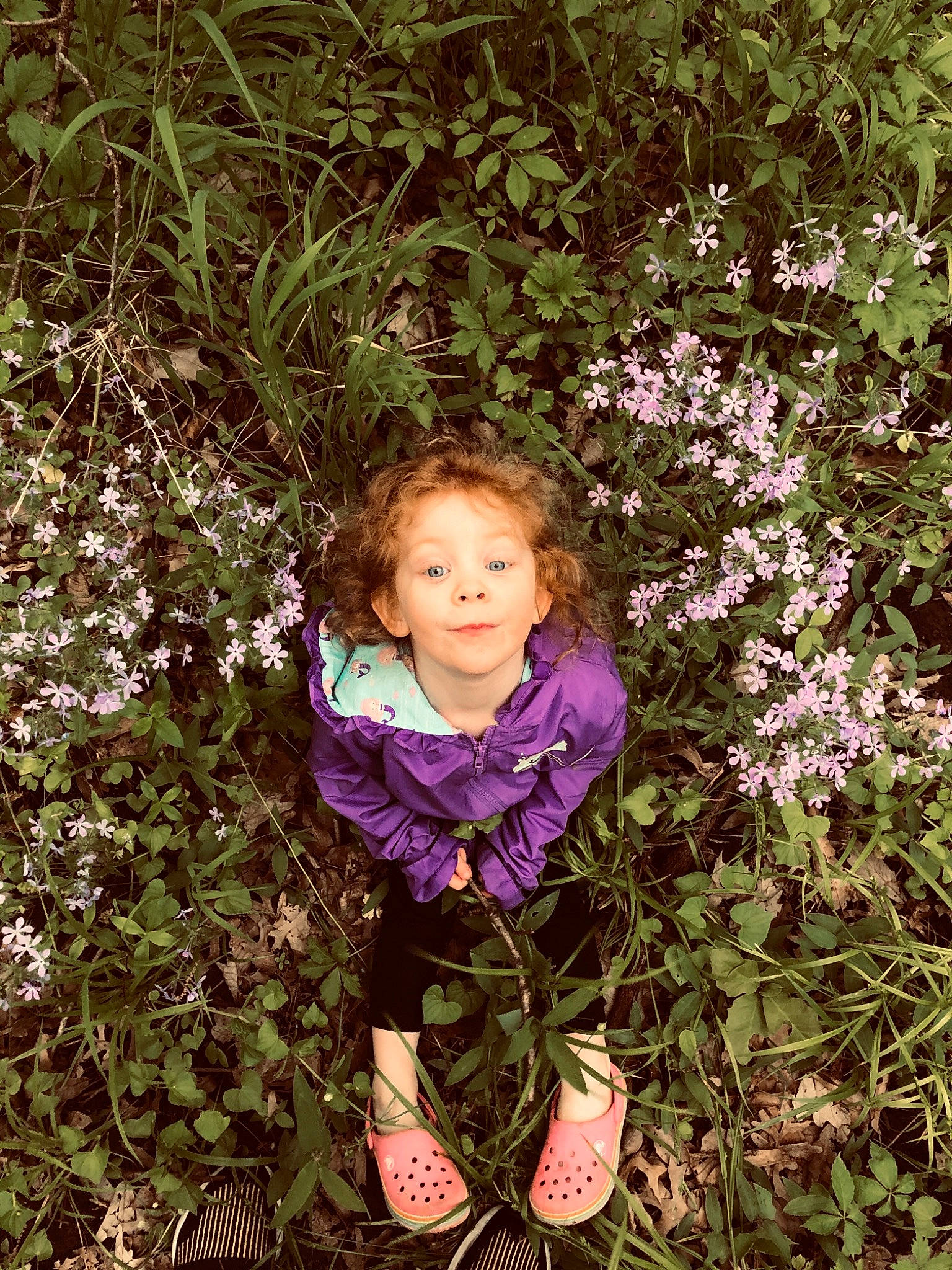 Kinsley joined the competition — help win amazing prizes! annual_plant, baby_toddler_clothing, brown_hair, child, child_model, groundcover, herbaceous_plant, lavender, people_in_nature, person, pink, purple, shoe, shrub, slipper, spring, subshrub, toddler, violet, walking_shoe