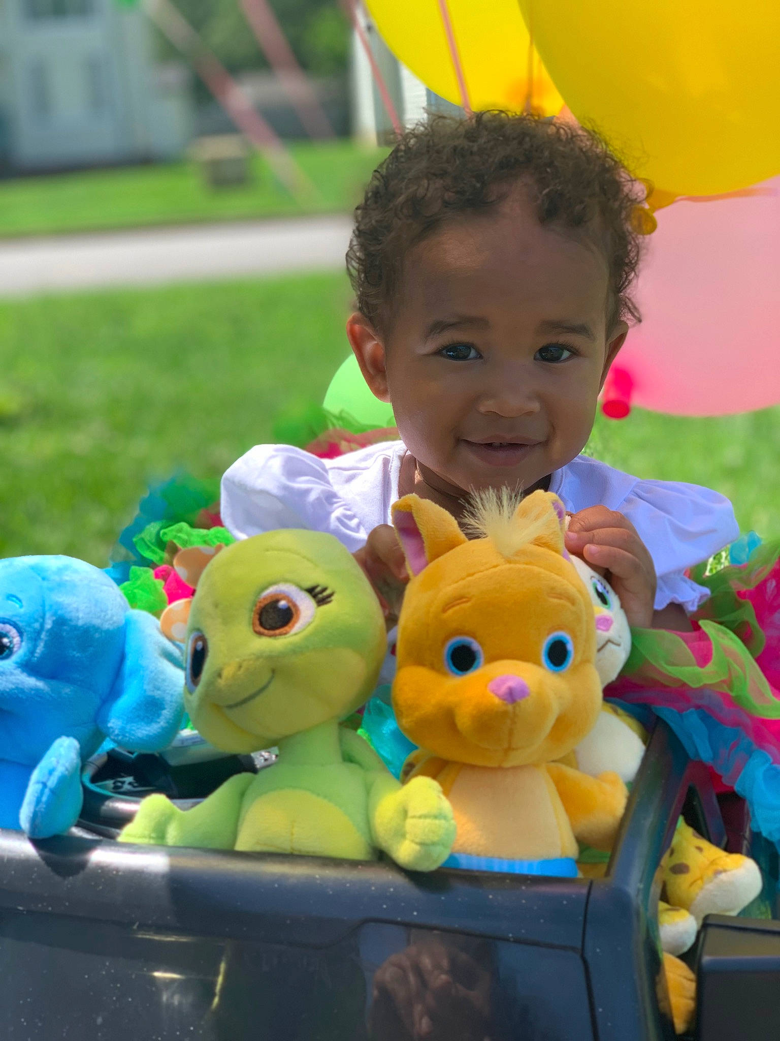 Leilani is registered to the contest to win money with this photo: _geese_and_swans, child, doll, ducks, event, fun, grass, green, happy, leisure, mammal, organ, people, person, photograph, public_space, smile, snapshot, stuffed_toy, toddler