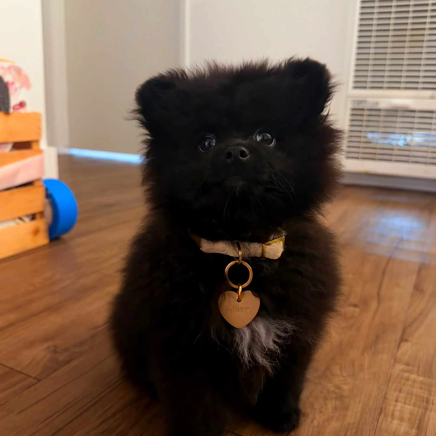 Missy