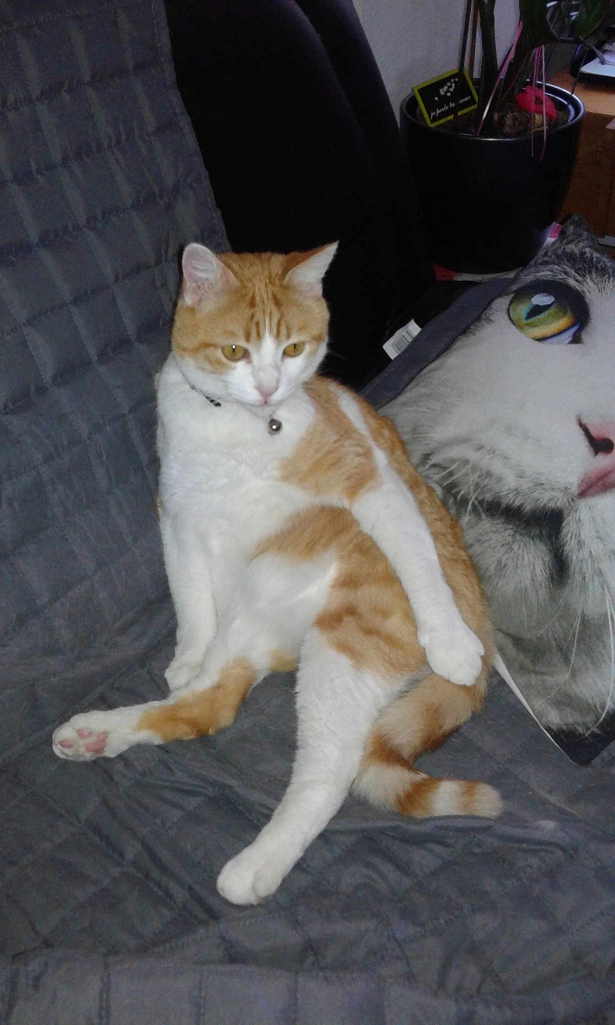Caramel