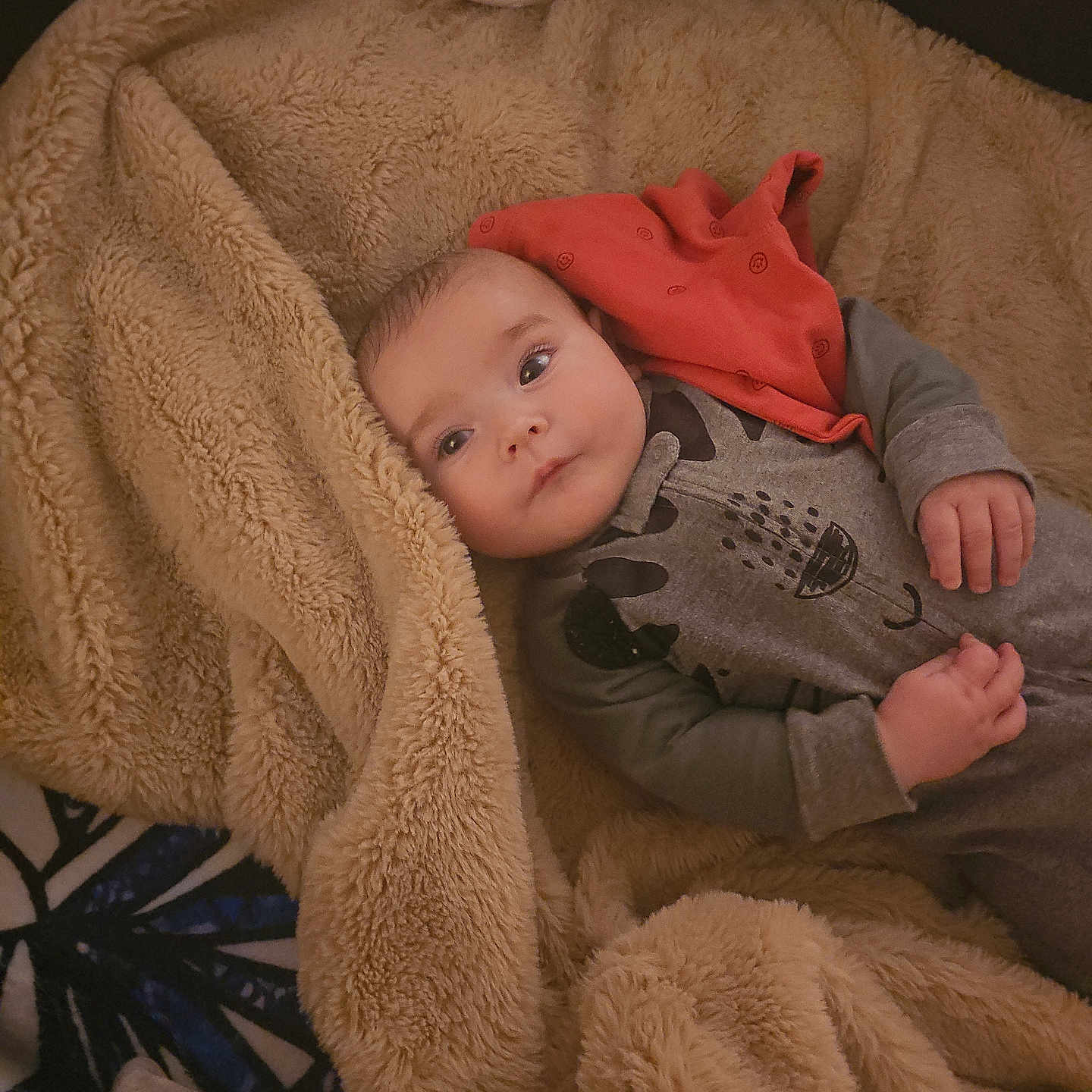 Carter is registered to the contest to win money with this photo: baby, blanket, bodypart, clothing, computerhardware, couch, crib, electronics, face, finger, furniture, hand, hardware, head, infantbed, mouse, person, photography, portrait, pottery