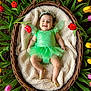 Alice joined the competition — help win amazing prizes! baby, infant, child, basket, tulip, flowers, spring, green_dress, tutu, smile, floral_crown, blanket, cozy, petals, garden, portrait, cute, newborn, outdoor, happy