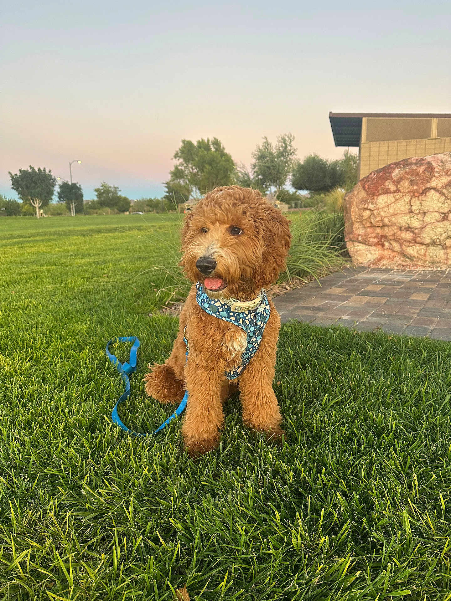 Jax