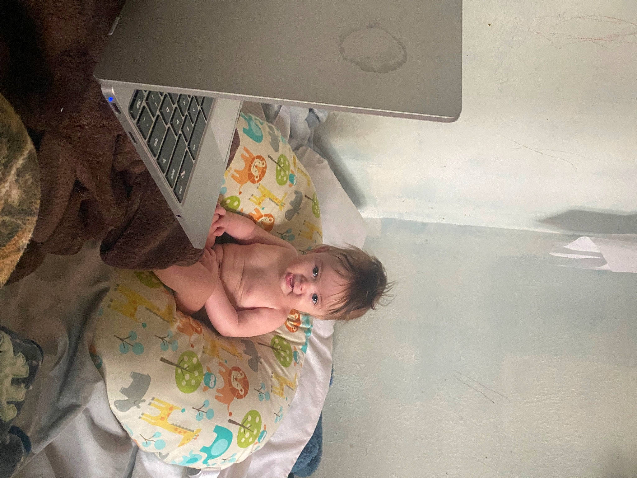 Finan is registered to the contest to win money with this photo: baby, baby_safety, baby_toddler_clothing, bed, bedtime, child, comfort, computer, facial_expression, finger, flooring, fun, hairstyle, happy, laptop, linens, person, personal_computer, room, skin