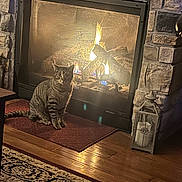 Itsy joined the competition — help win amazing prizes! cat, tabby_cat, fireplace, fire, stone_wall, wood_floor, rug, mat, lantern, candle, indoor, cozy, pet, warmth, home, furniture, flooring, relaxation, animal, domestic