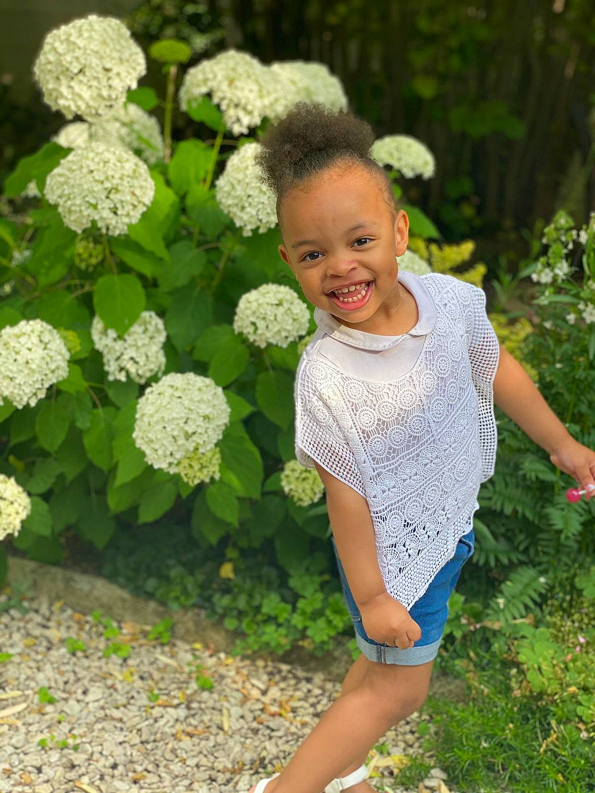 Ayana a rejoint le concours — aidez-le/la à gagner de superbes lots ! annual_plant, botany, child, cornales, flower, flowering_plant, garden, grass, hydrangea, hydrangeaceae, joy, person, plant, shrub, spring, summer, toddler, wildflower