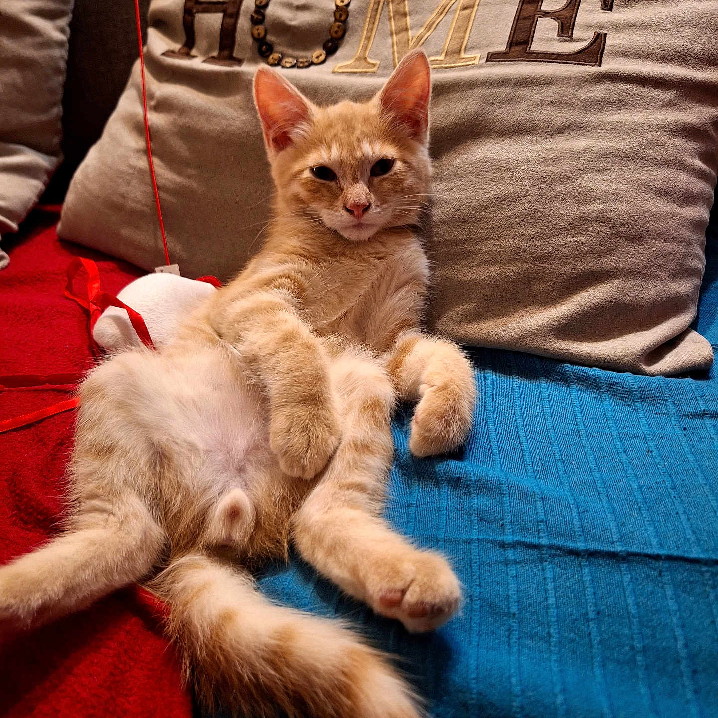 Bijou