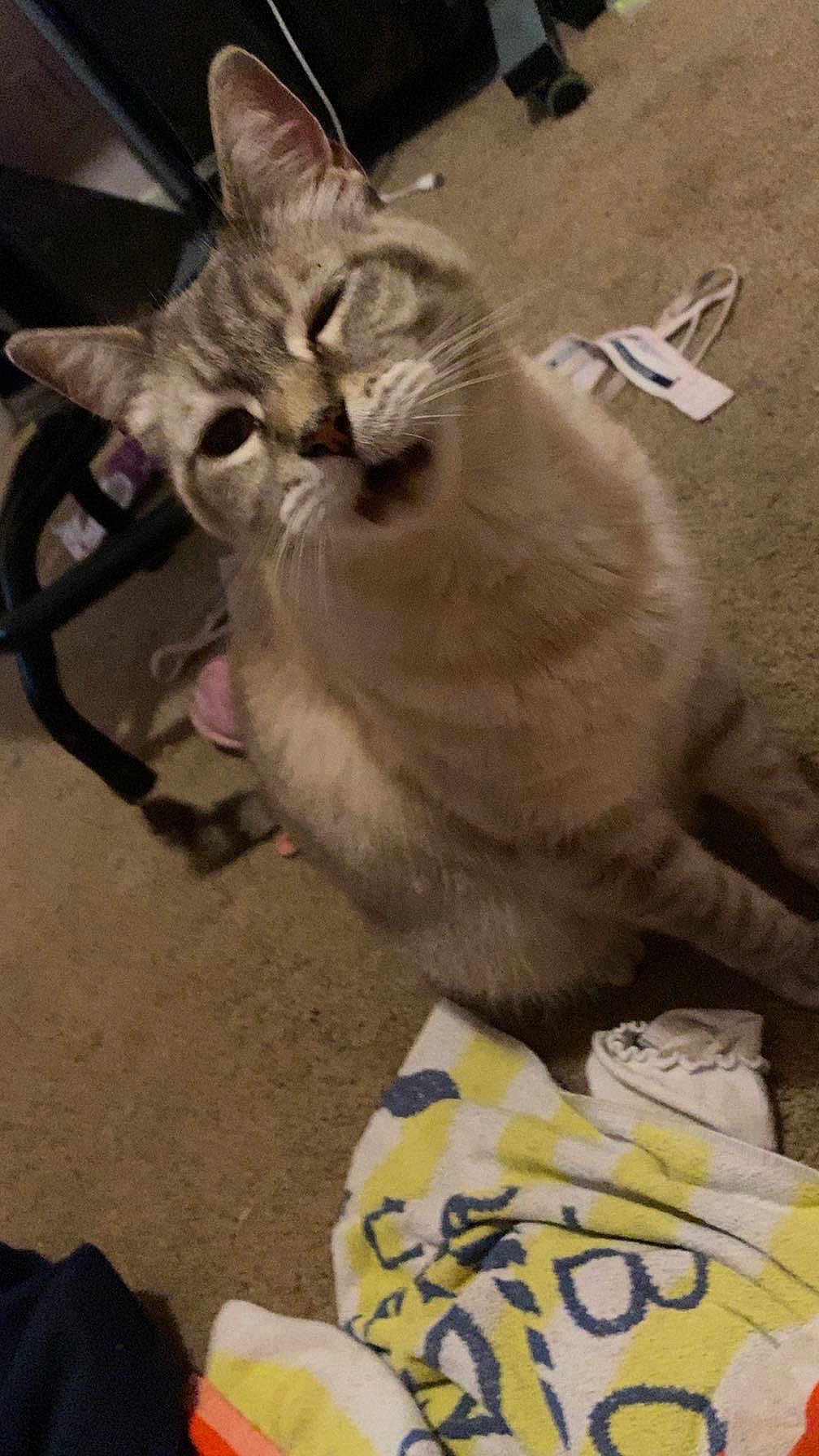Gus