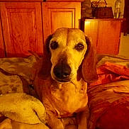 Ti\'didou participe au concours pour gagner de l'argent avec cette photo :