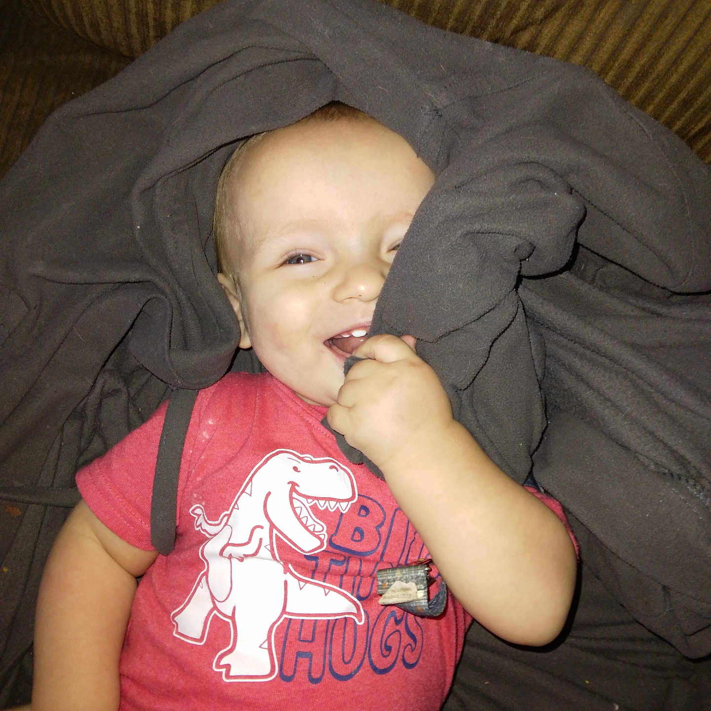 Hank Lee is registered to the contest to win money with this photo: baby, blanket, child, clothing, couch, cozy, cute, dinosaur, face, hand, happy, indoor, infant, person, playful, portrait, red_shirt, smiling, toddler, young