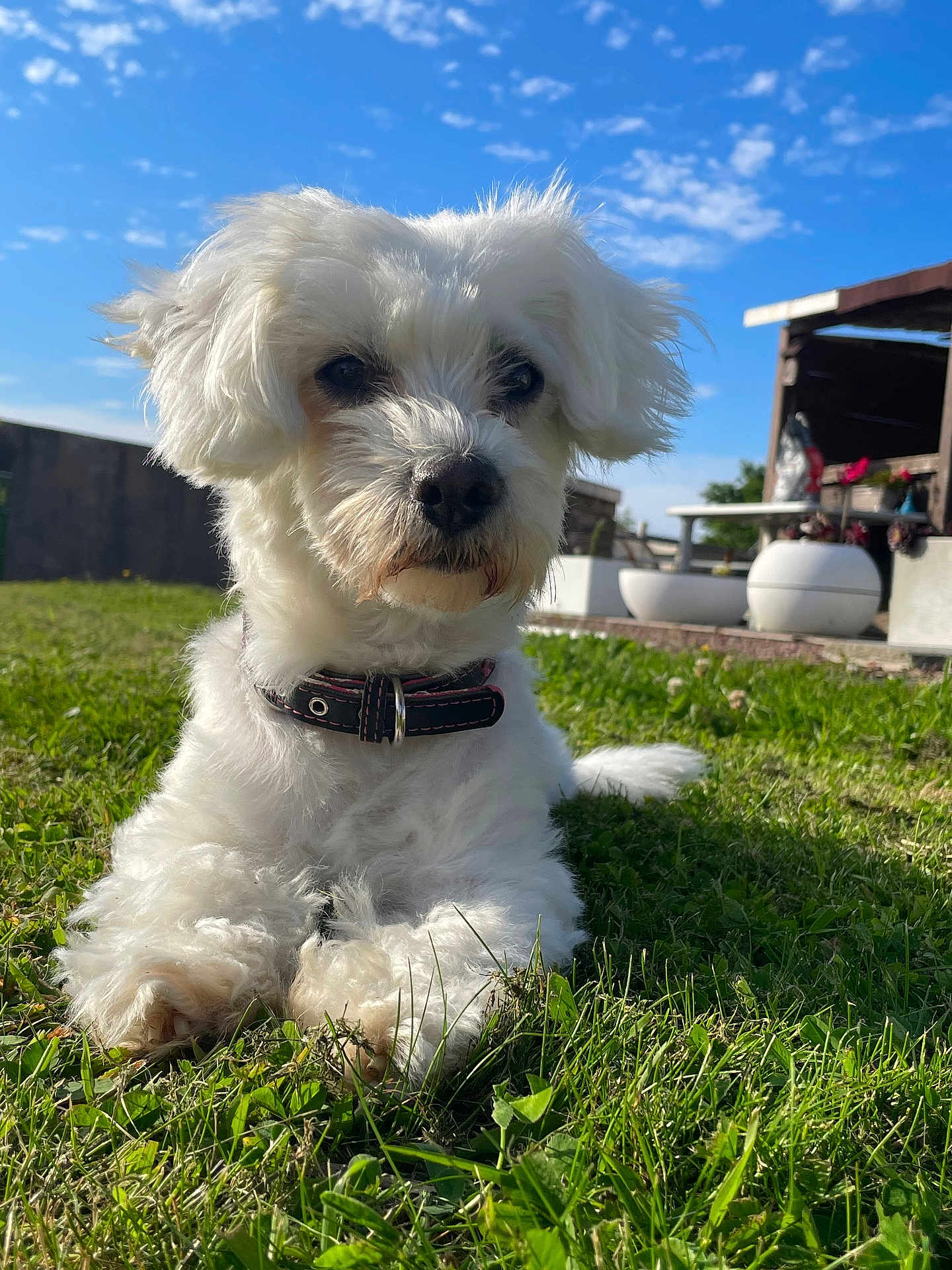 Tina