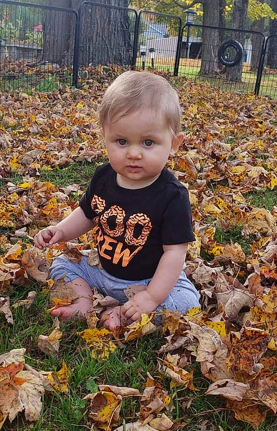 Jesse joined the competition — help win amazing prizes! baby, baby_toddler_clothing, beauty, botany, child, deciduous, garden, grass, groundcover, happy, leaf, people_in_nature, person, plant, pumpkin, t_shirt, toddler, tree, wilderness, wood
