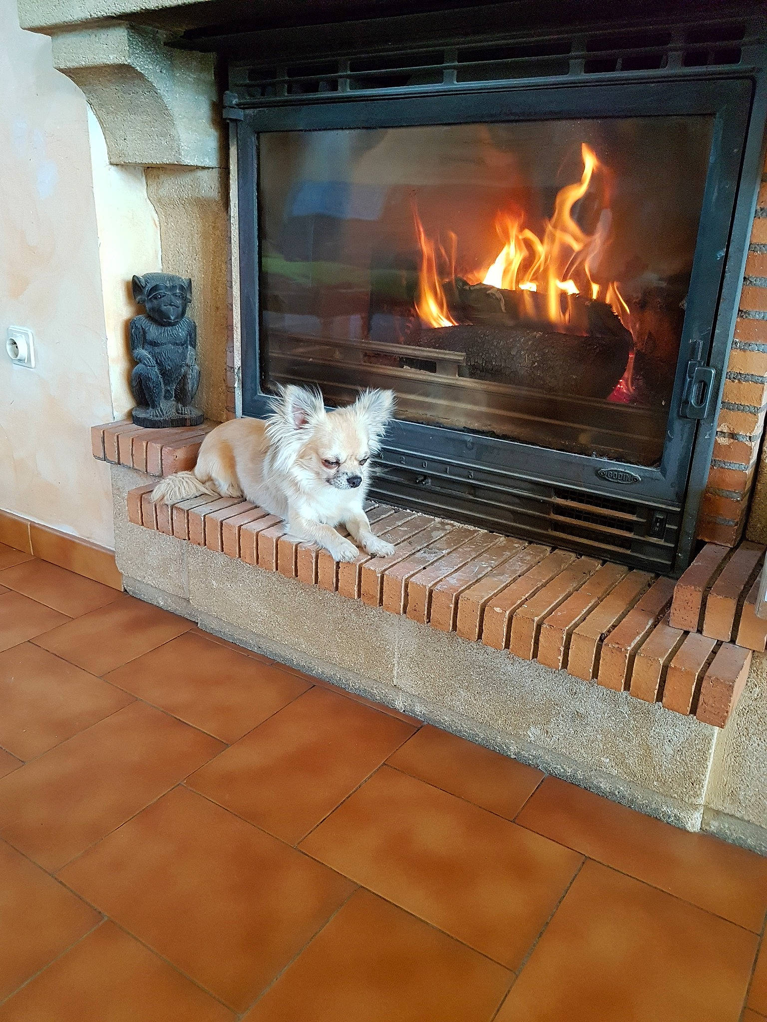 Nanar a rejoint le concours — aidez-le/la à gagner de superbes lots ! fire, fireplace, flame, floor, flooring, gas, hardwood, hearth, heat, masonry_oven, room, wood, wood_burning_stove