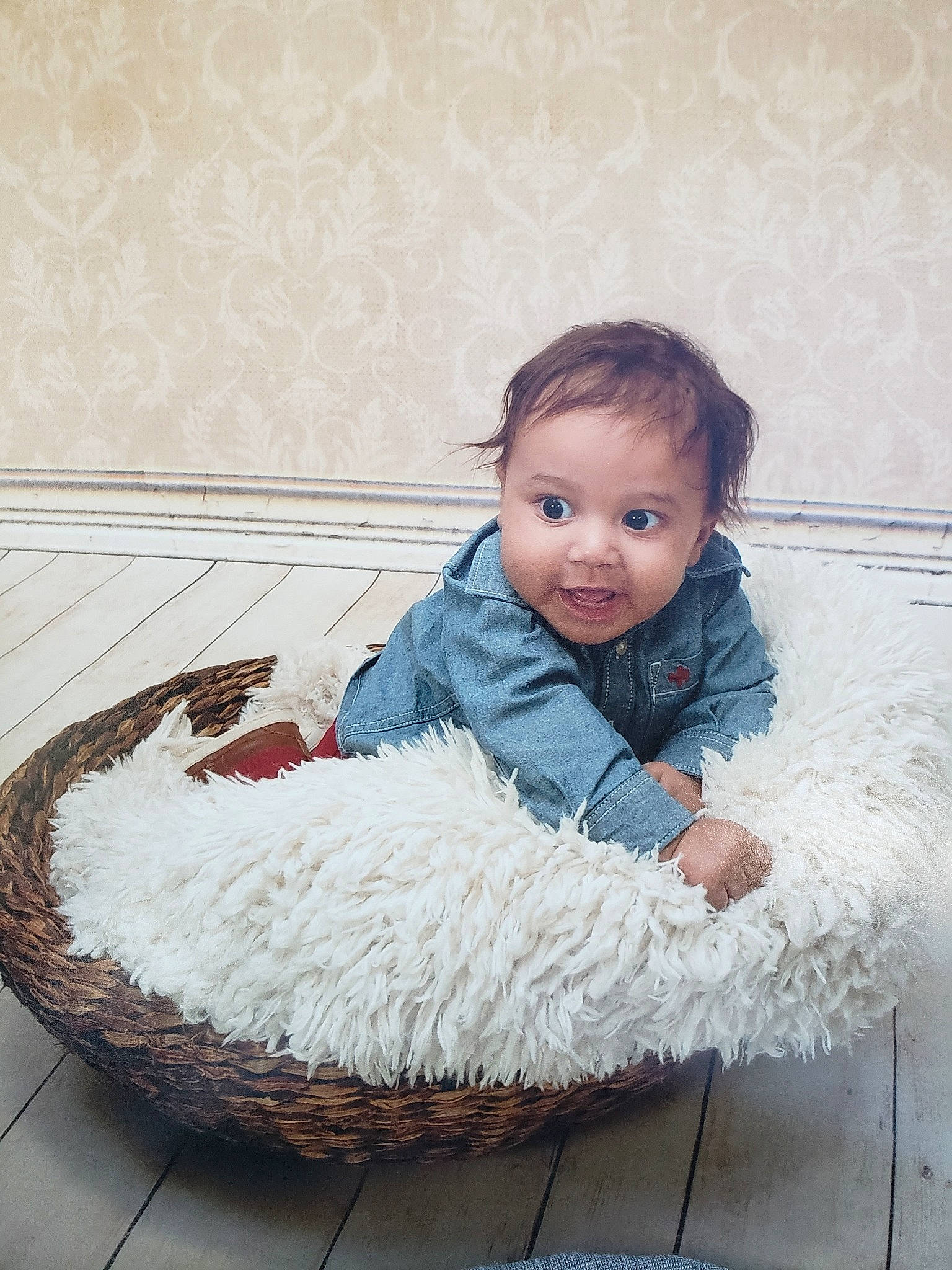 Prince joined the competition — help win amazing prizes! child, flooring, fun, fur, girl, infant, person, product, sitting, textile, toddler