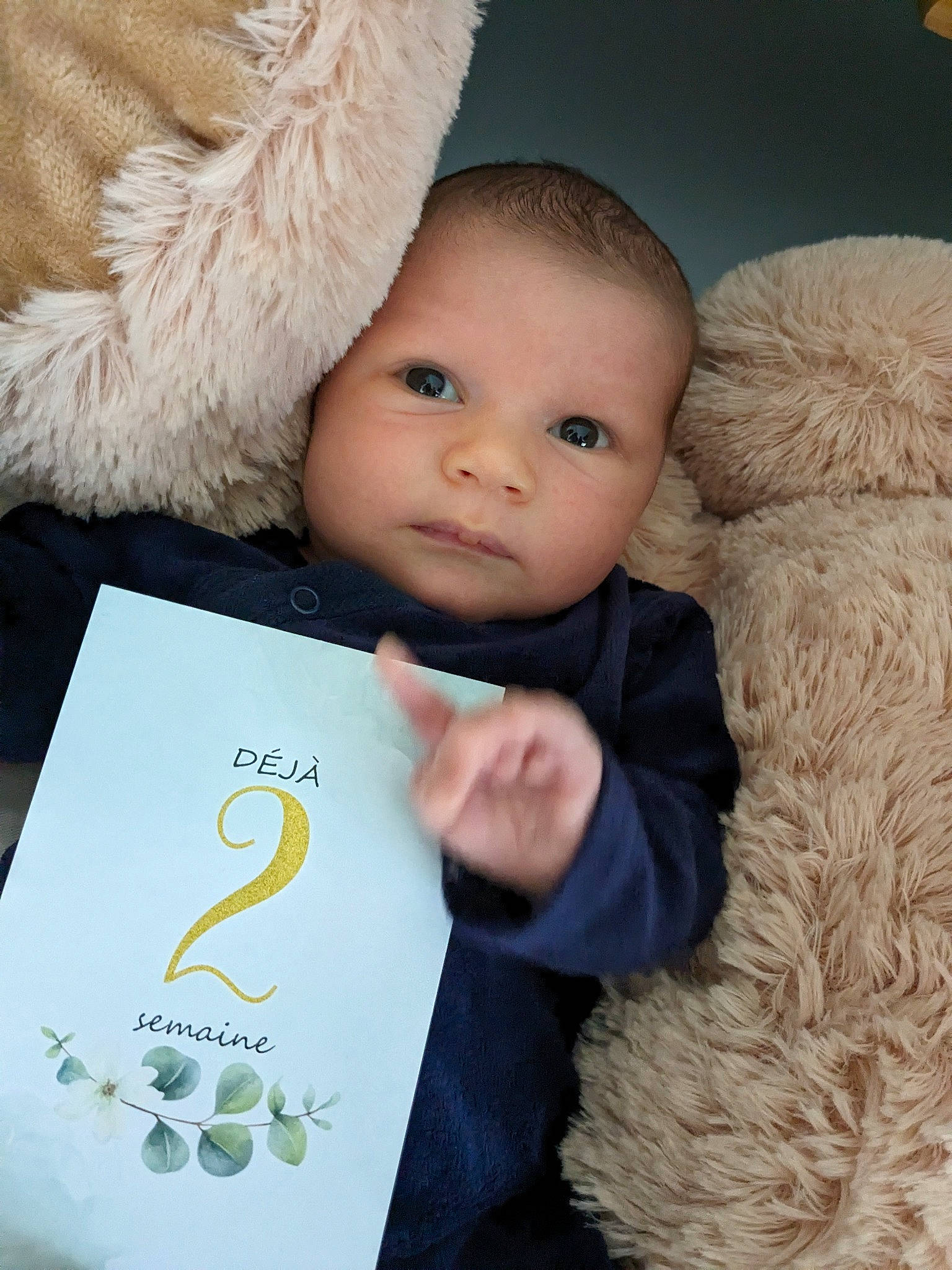 Hugo a rejoint le concours — aidez-le/la à gagner de superbes lots ! baby, baby_toddler_clothing, book, child, comfort, font, fur, fur_clothing, happy, mammal, person, plush, room, stuffed_toy, teddy_bear, toddler, toy, tree, vertebrate, white