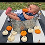 Tommy James is registered to the contest to win money with this photo: autumn, baby, blanket, child, cute, fall, fun, grass, infant, metal_tub, nature, orange, outdoor, playing, pumpkin, relaxing, seasonal, smiling, striped, white