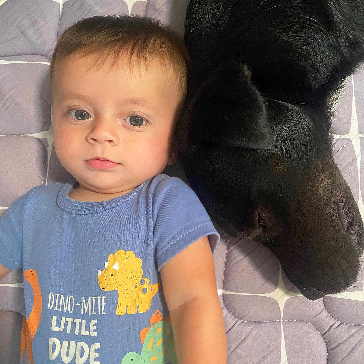 Benny Love joined the competition — help win amazing prizes! animal, baby, black_dog, blue_shirt, child, closeup, curious, cute, dinosaur_print, dog, face, indoor, infant, lying_down, patterned_mat, pet, purple_mat, resting, sleeping_dog, toddler