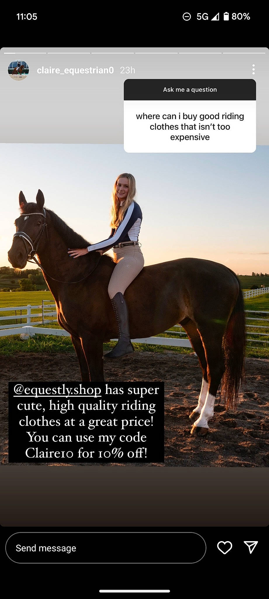 Fritz joined the competition — help win amazing prizes! bit, bridle, equestrian_sport, equestrianism, happy, horse, horse_supplies, horse_tack, landscape, liver, mane, organism, outdoor_recreation, plant, recreation, rein, saddle, sky, sorrel, working_animal