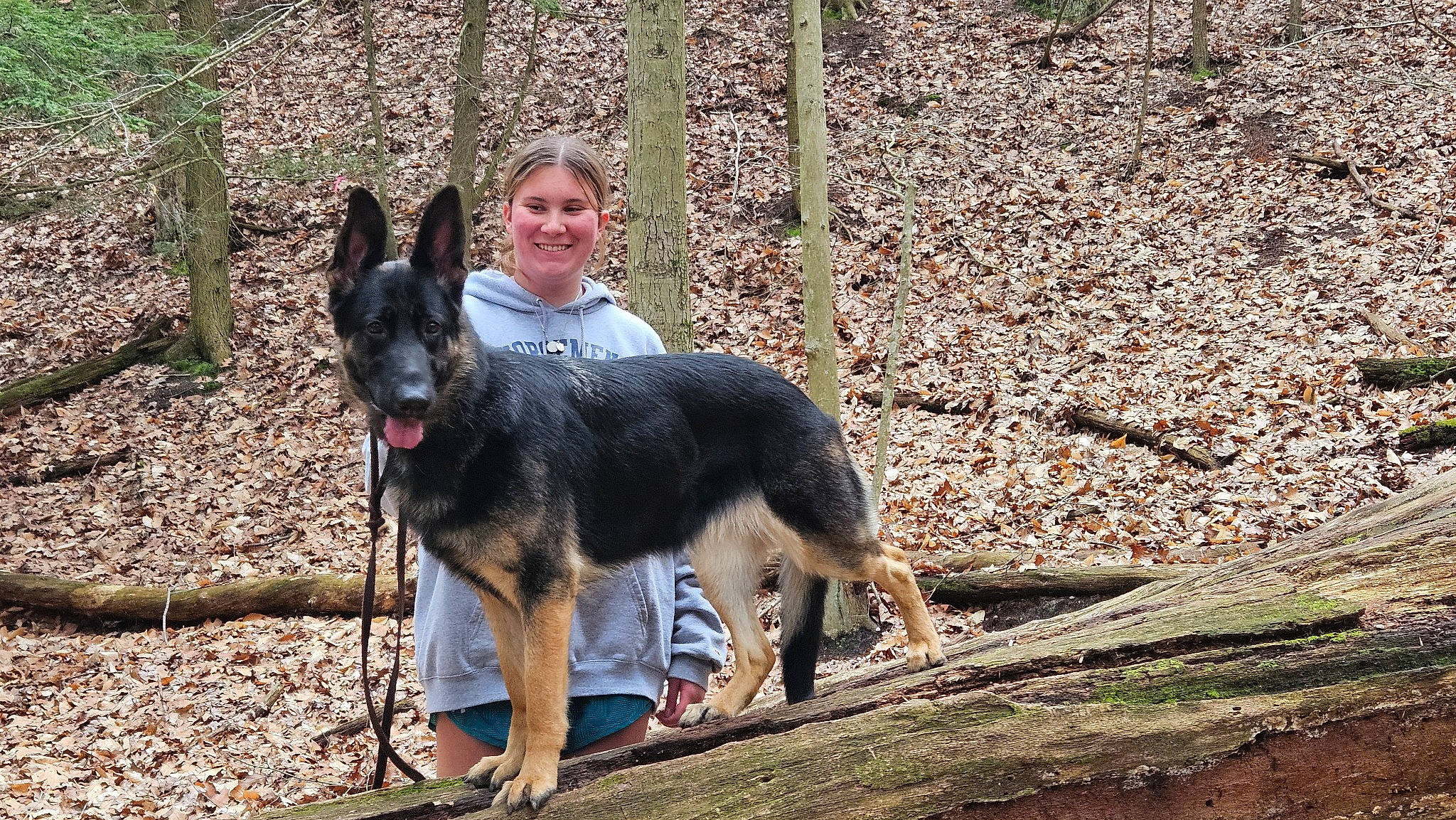 Kiki Rose joined the competition — help win amazing prizes! canidae, canis, carnivore, companion_dog, dog, dog_breed, dog_hiking, east_european_shepherd, german_shepherd_dog, guard_dog, herding_dog, king_shepherd, old_german_shepherd_dog, plant, recreation, smile, sporting_group, tree, working_animal, working_dog