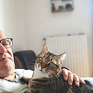Grisou a rejoint le concours — aidez-le/la à gagner de superbes lots ! man, cat, indoor, glasses, tabby_cat, pet, person, relaxing, comfort, feline, white_shirt, chain_necklace, home, radiator, shelf, blurred_background, closeup, affection, resting, casual