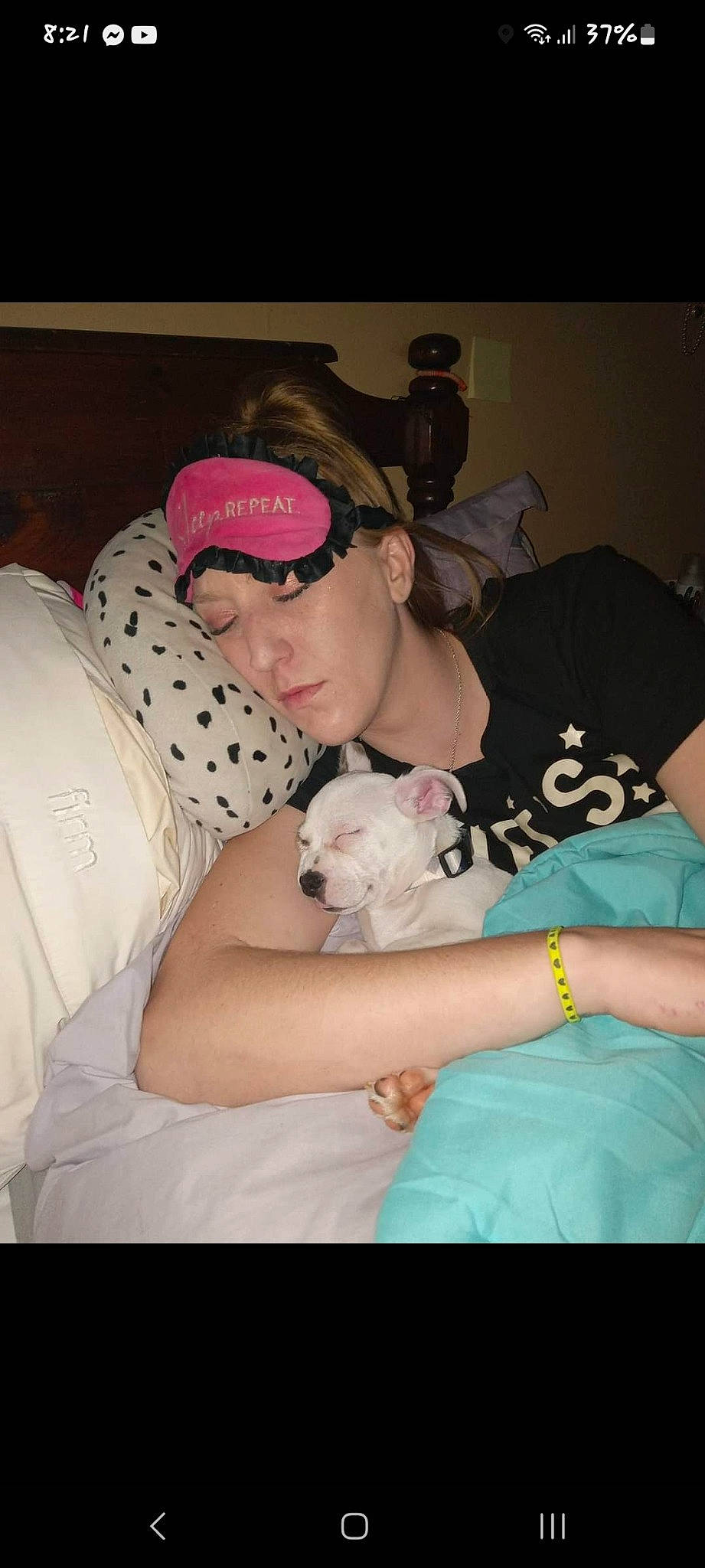 Rebel Gwinn is registered to the contest to win money with this photo: abdomen, baseball_cap, cap, carnivore, chest, comfort, companion_dog, couch, dog, dog_breed, elbow, event, fawn, fun, happy, human_leg, lap, t_shirt, thigh, trunk