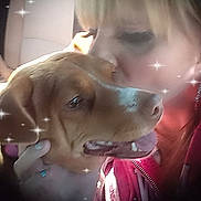 Coco joined the competition — help win amazing prizes! affection, animal, blonde_hair, bond, canine, close_up, companion, cuddle, cute, dog, face, friendship, gentle, hand, indoor, love, person, pet, sparkle_effect, warmth