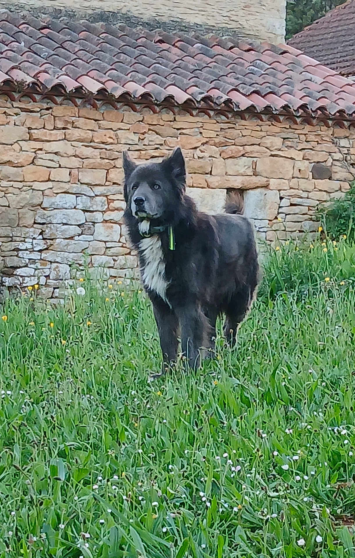Zeus