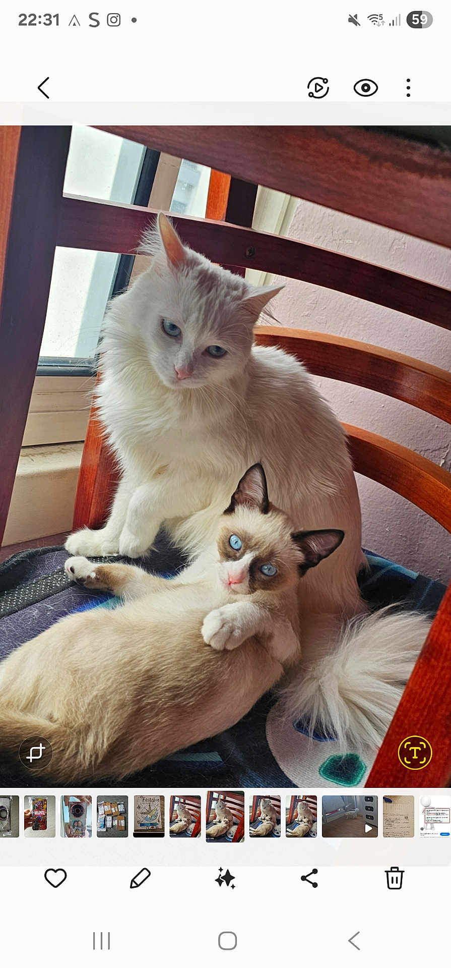 Mimi