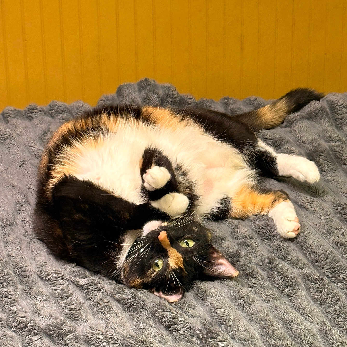 Luna