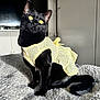black_cat, yellow_eyes, cat, pet, indoor, bed, blanket, yellow_dress, striped_clothing, feline, domestic_animal, cute, animal_portrait, cozy, fur, whiskers, tail, sitting, soft_light, home_interior