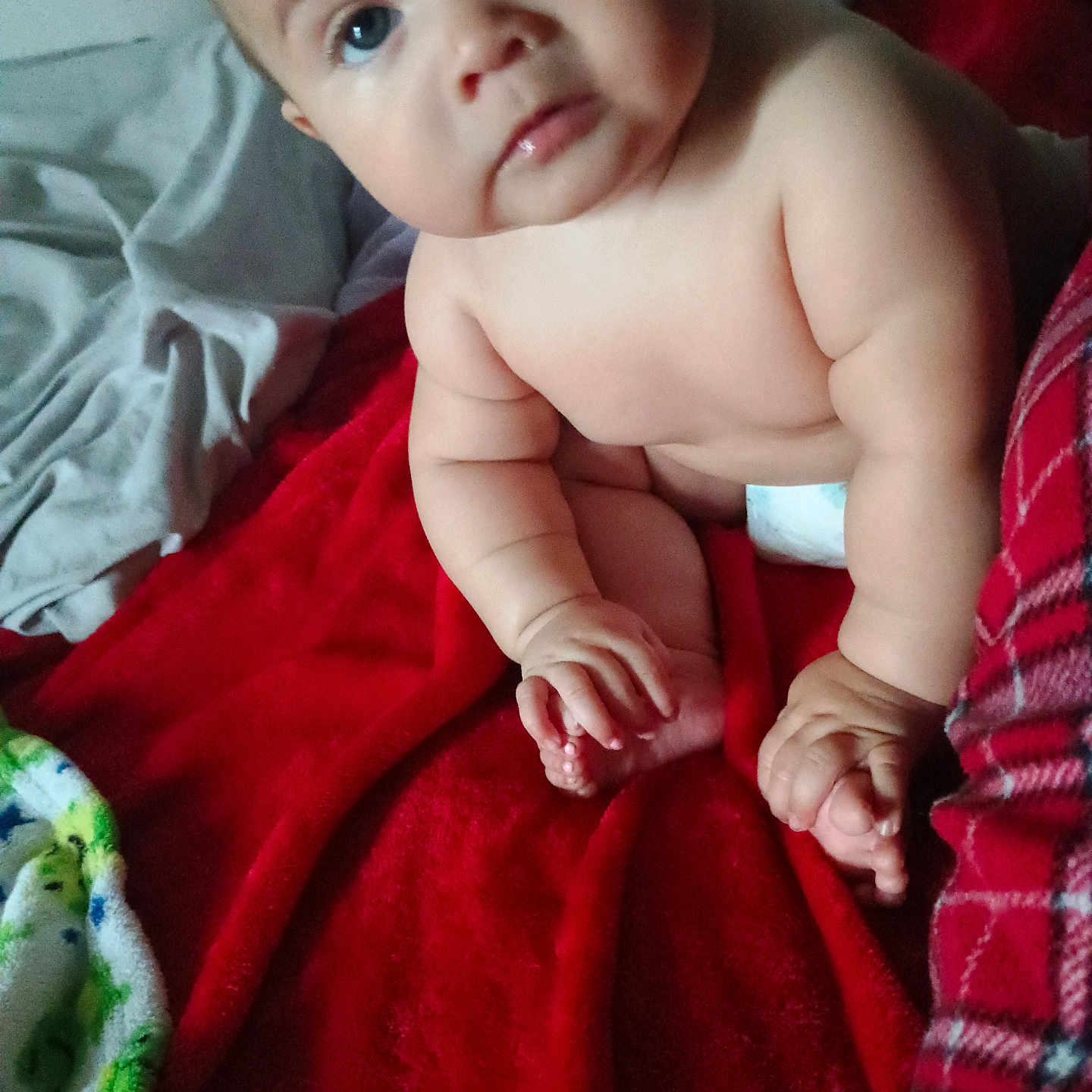Bella is registered to the contest to win money with this photo: baby, blanket, child, chubby, curious, cute, diaper, eyes, face, foot, hand, home, indoors, infant, person, plush, red_blanket, sitting, skin, soft_texture