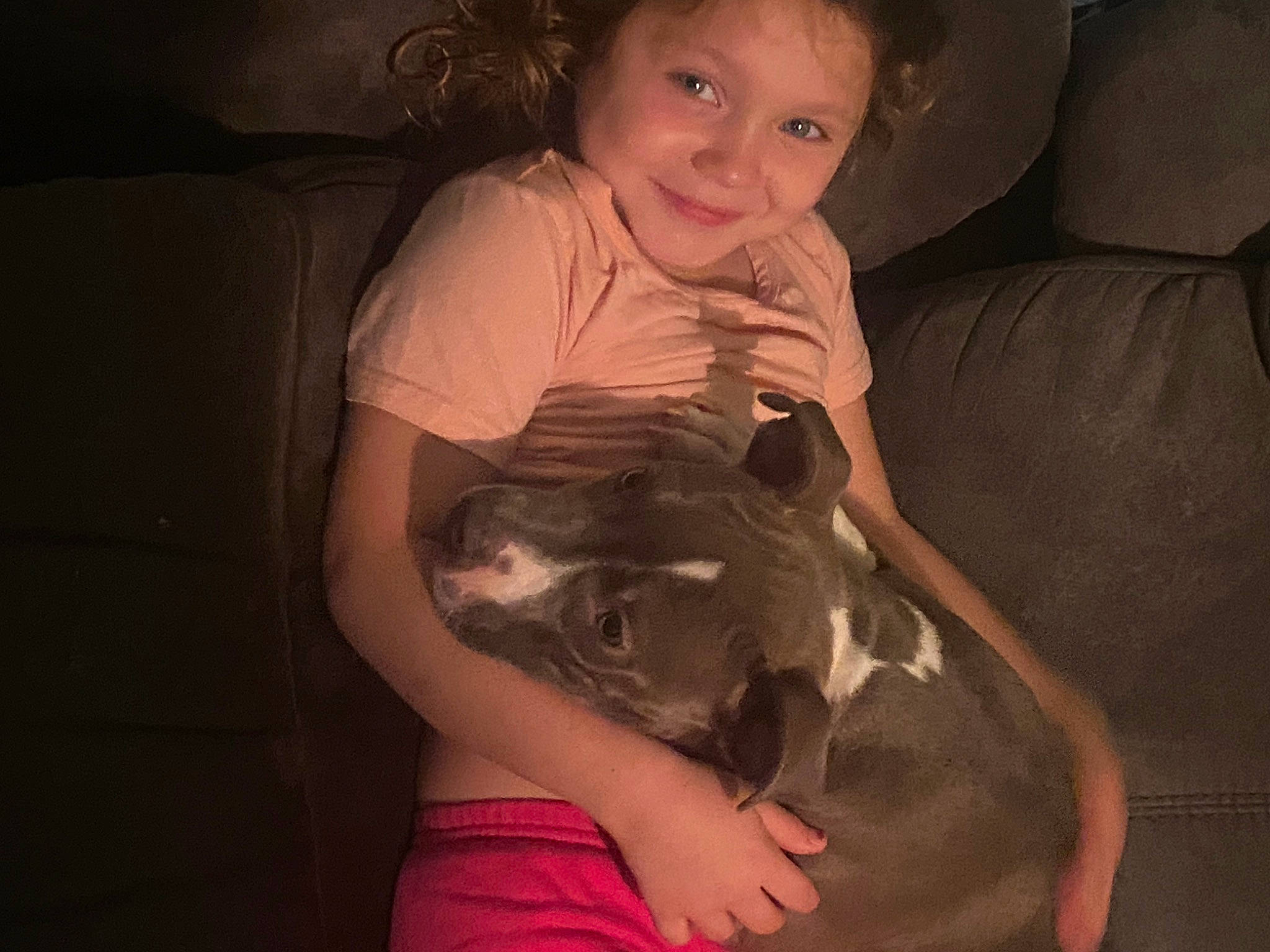 Adrianna joined the competition — help win amazing prizes! carnivore, comfort, companion_dog, couch, darkness, dog_breed, ear, fawn, felidae, flash_photography, hand, happy, joy, lap, person, skin, small_to_medium_sized_cats, smile, snout, sporting_group