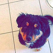 Jack participe au concours pour gagner de l'argent avec cette photo :