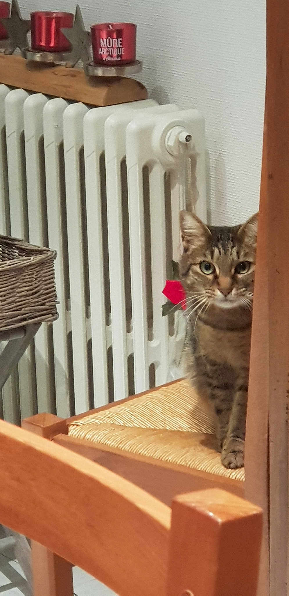 Olympe