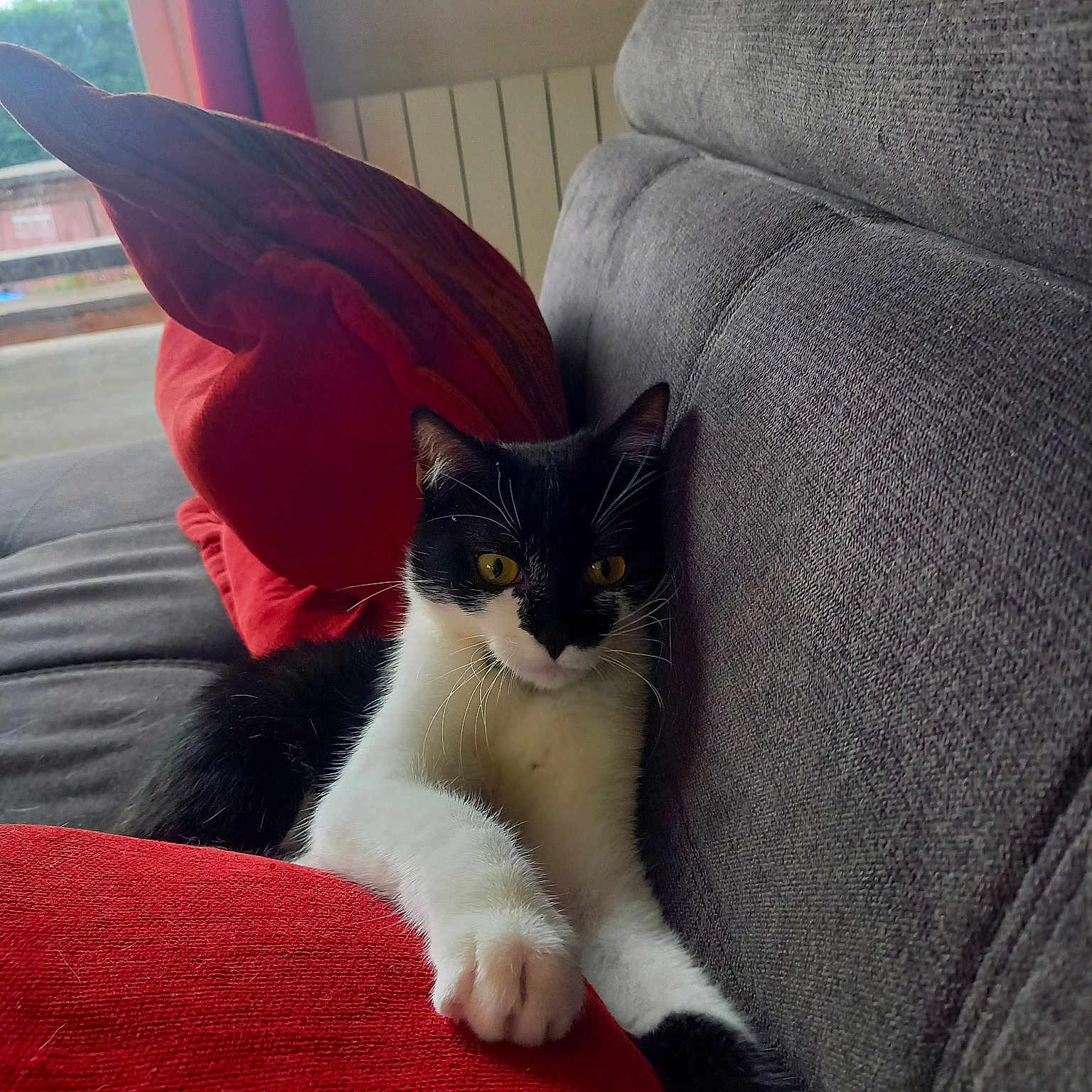 Luna
