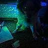 cat, fluffy_cat, long_hair, pet, animal, sitting, indoors, dark, blue_light, green_light, laser_lights, glowing, dramatic_lighting, shadow, carpet, paper, messy_floor, reflection, aquarium, nighttime