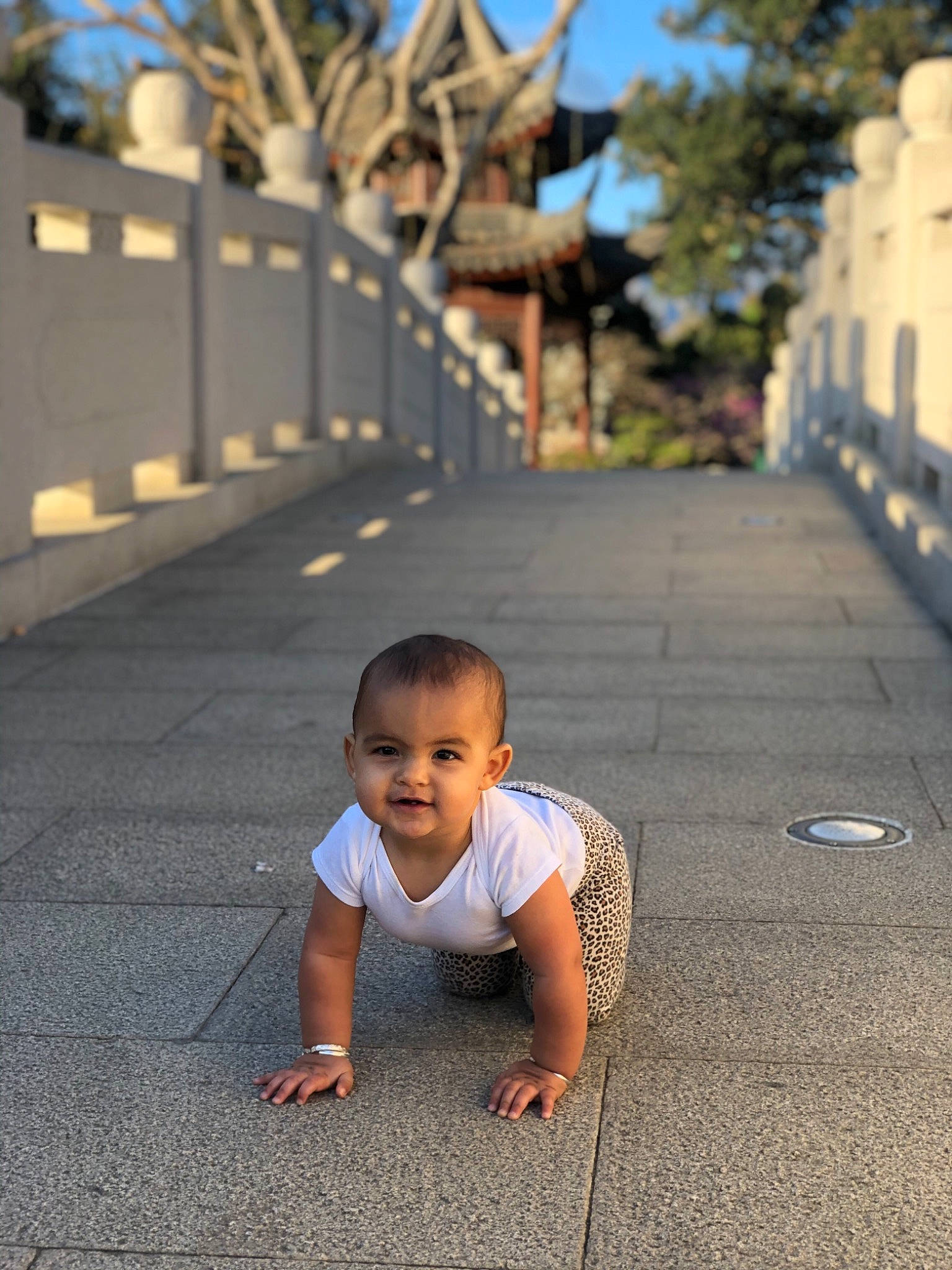 Billie joined the competition — help win amazing prizes! architecture, baby, beauty, child, joy, leaf, leisure, people, person, photograph, photography, plant, sidewalk, sitting, smile, snapshot, street, summer, toddler, tourism