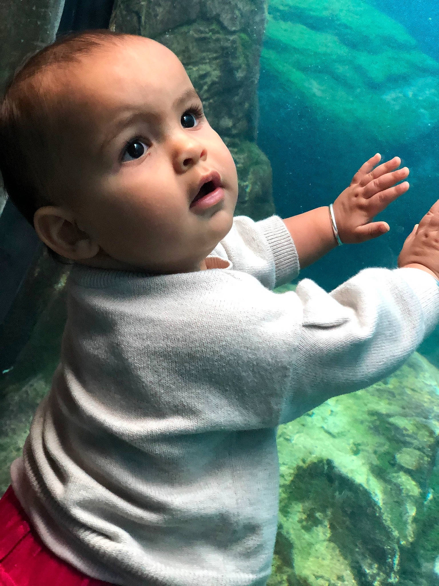 Billie is registered to the contest to win money with this photo: baby, cheek, child, person, smile, toddler