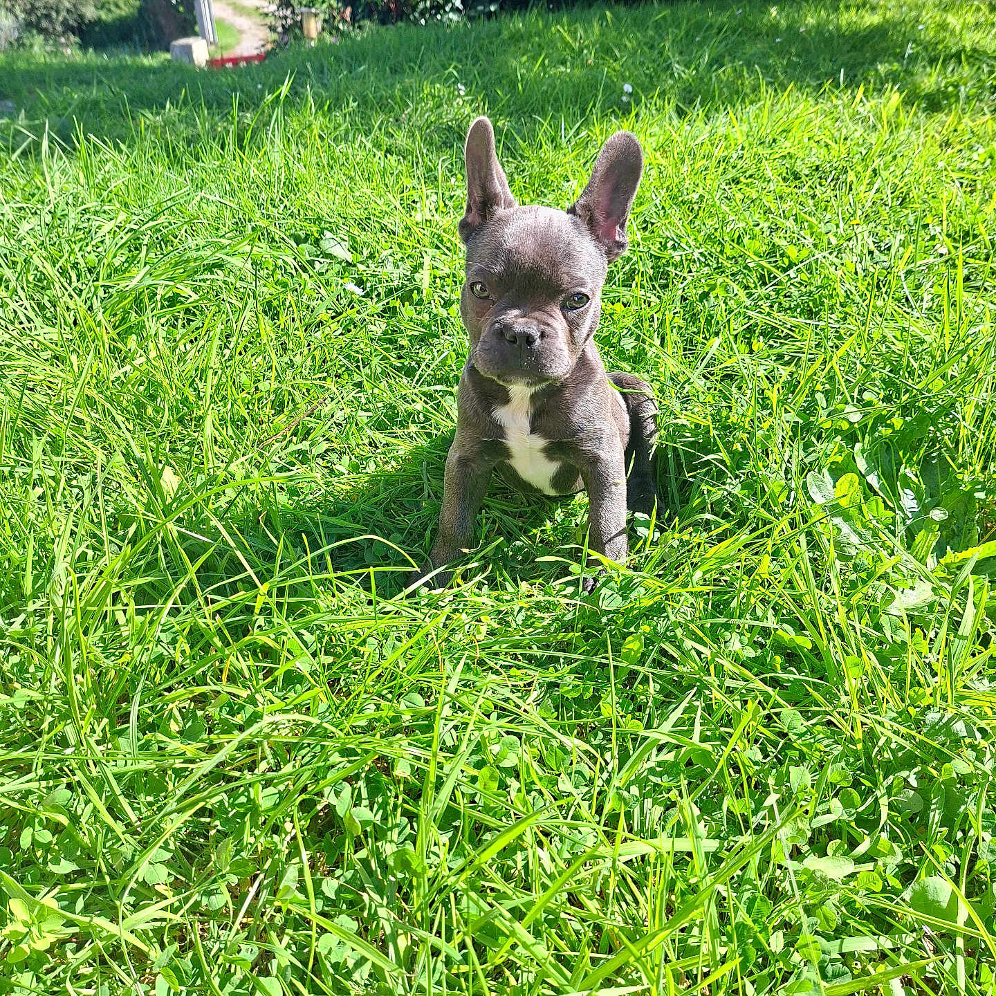 Billy
