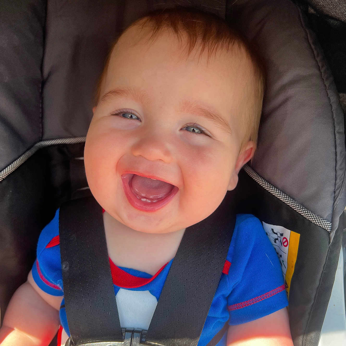 William is registered to the contest to win money with this photo: baby, child, car_seat, smile, happy, blue_clothing, seatbelt, infant, cute, portrait, sunlight, safety_harness, young_child, seat, person, cheerful, closeup, joy, baby_face, casual
