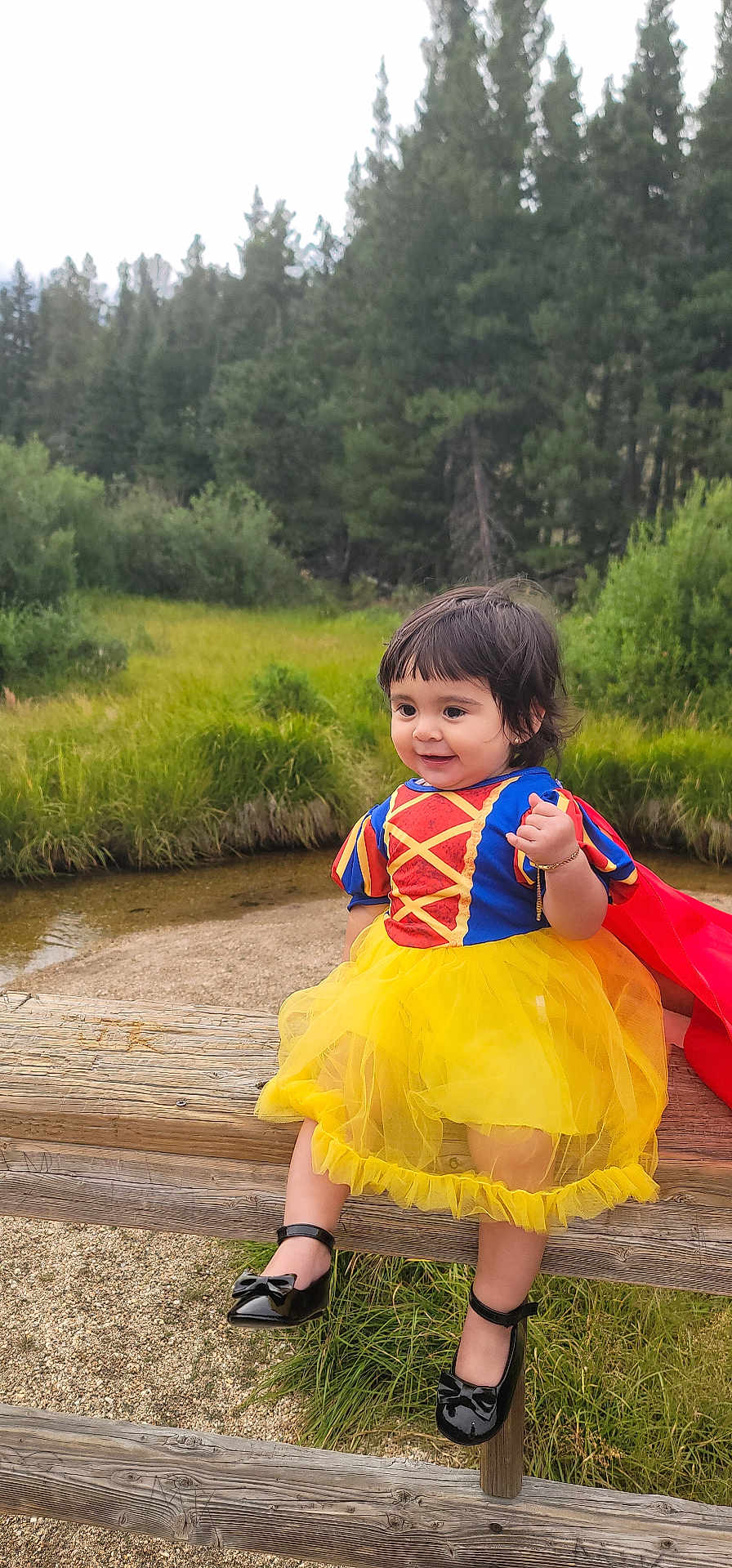 Allyson is registered to the contest to win money with this photo: child, toddler, costume, dress, yellow_tutu, black_shoes, outdoor, nature, greenery, wooden_fence, creek, grass, smiling, happy, portrait, cute, fashion, person, playful, scenery