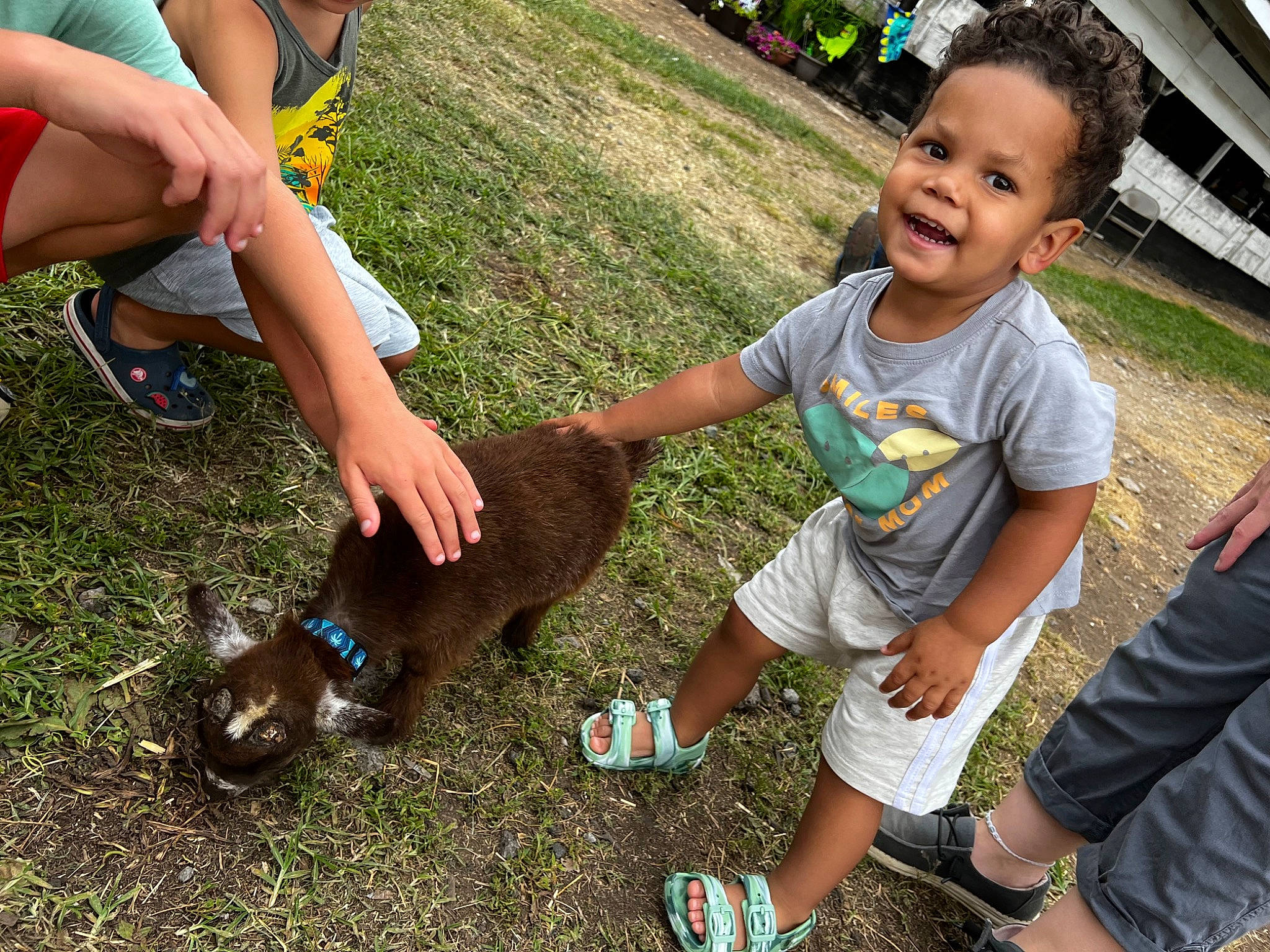 Emerson joined the competition — help win amazing prizes! community, cool, fawn, fun, grass, happy, joy, leaf, leg, leisure, people_in_nature, person, plant, recreation, shoe, shorts, smile, sneakers, summer, thigh